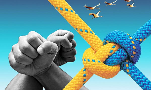 Manufacturers of High-Performance Fiber Ropes 1663989903