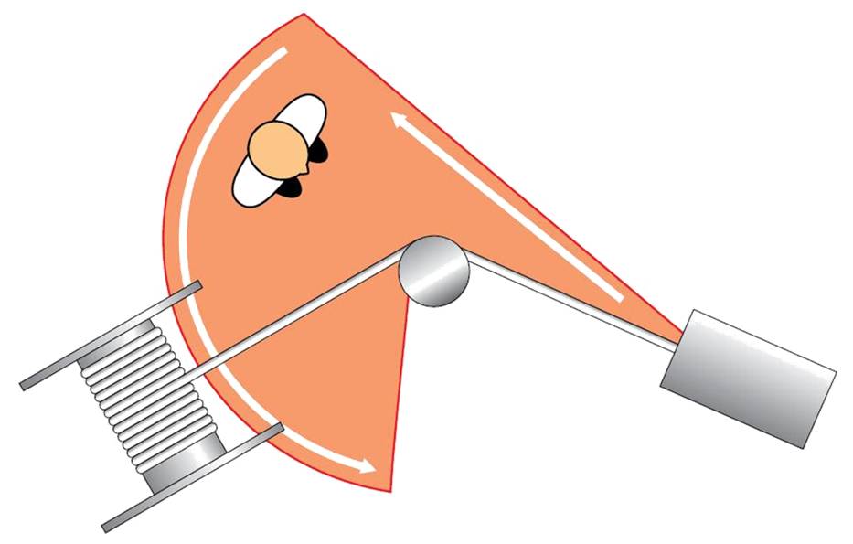 Maintenance and Use of Ropes 20201013104340118